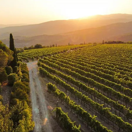בית נופש Apartment Among Tuscan Vineyard Hills *