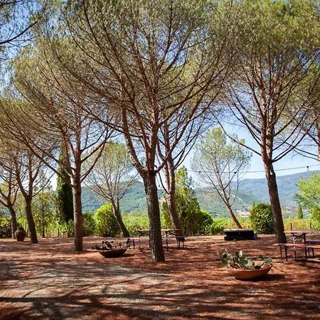 בית נופש Apartment Among Tuscan Vineyard Hills ארצו